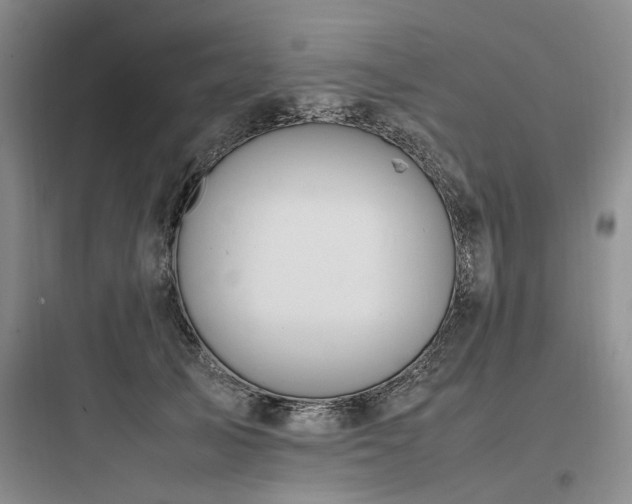 X0000097980705200803241259