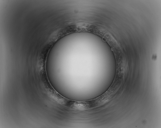 X0000097980706200803241259