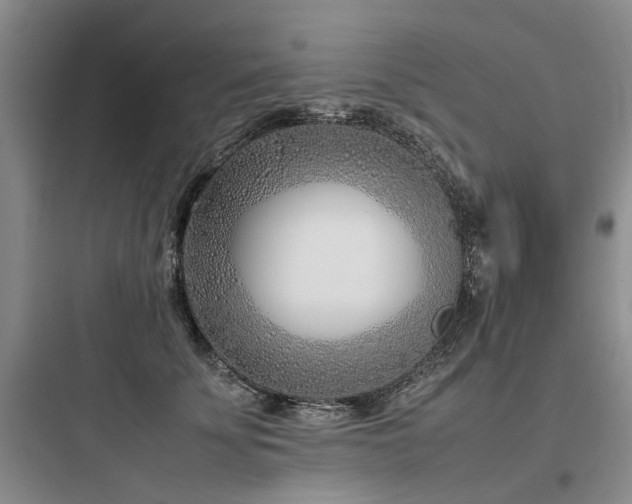 X0000097980707200803241259