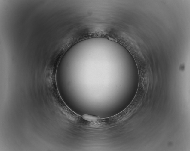 X0000097980708200803241259