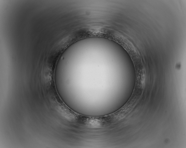 X0000097980710200803241259