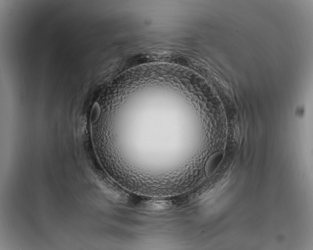 X0000097980711200803241259