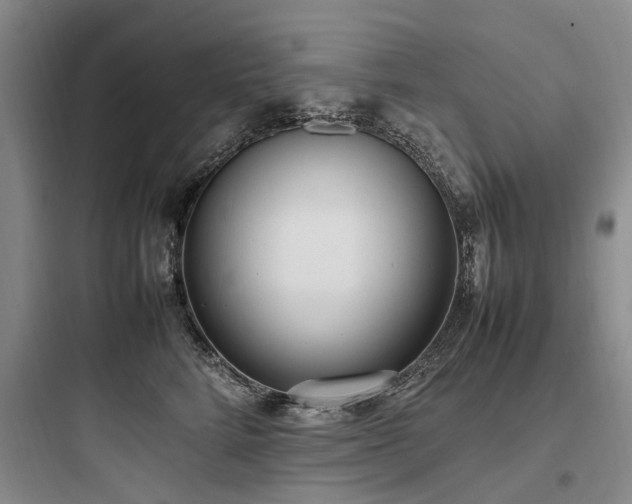 X0000097980712200803241259