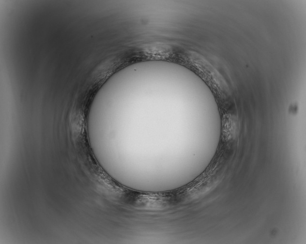X0000097980713200803241259