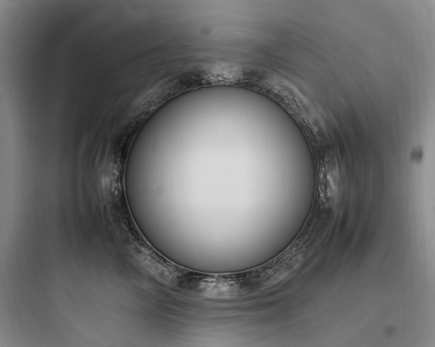 X0000097980714200803241259