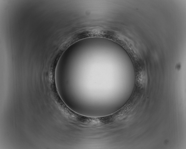 X0000097980715200803241259