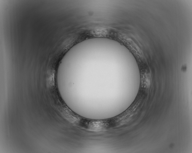X0000097980717200803241259