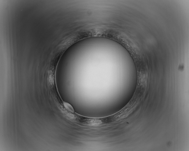 X0000097980719200803241259