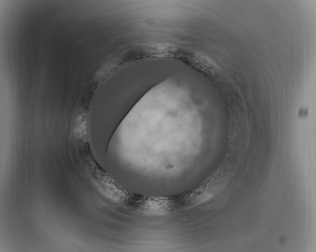 X0000097980720200803241259
