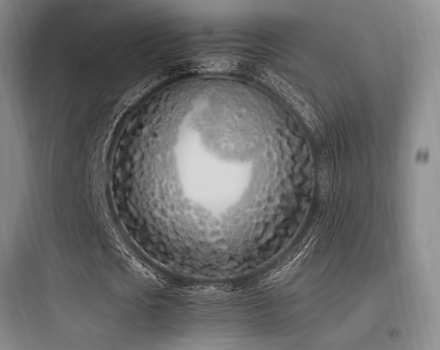 X0000097980721200803241258