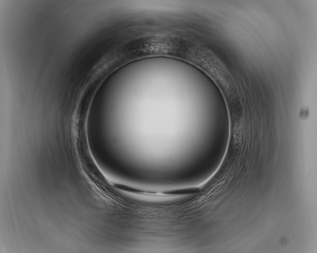 X0000097980722200803241258