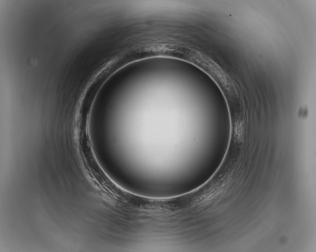 X0000097980724200803241258