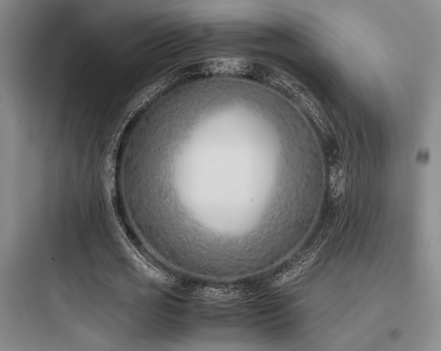 X0000097980725200803241258