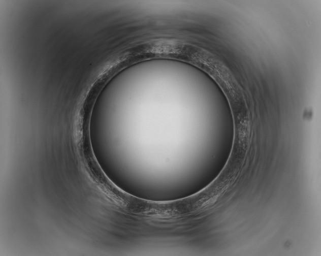 X0000097980727200803241258