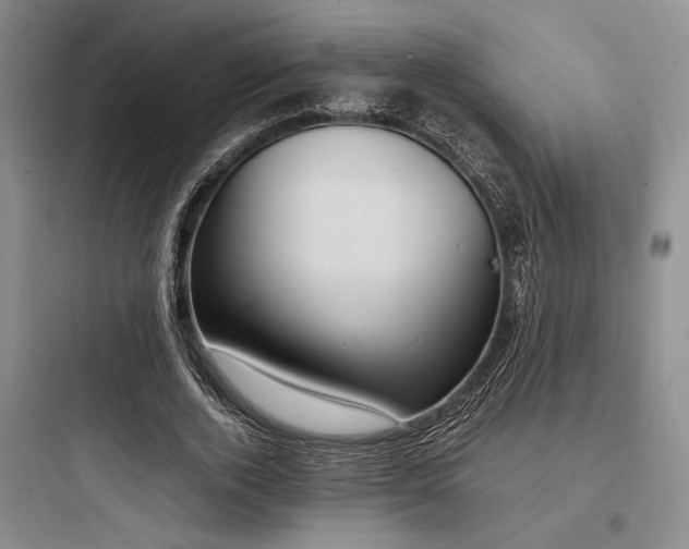 X0000097980728200803241258