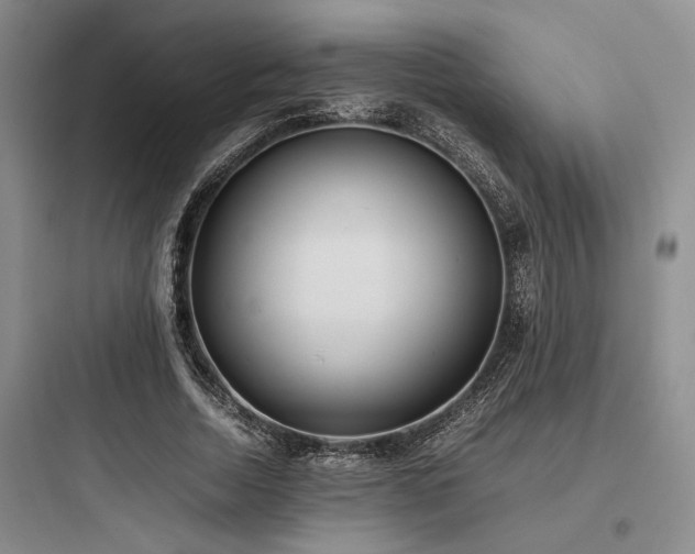 X0000097980730200803241258