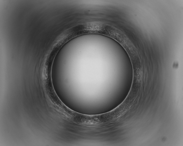 X0000097980731200803241258