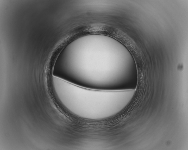 X0000097980732200803241258