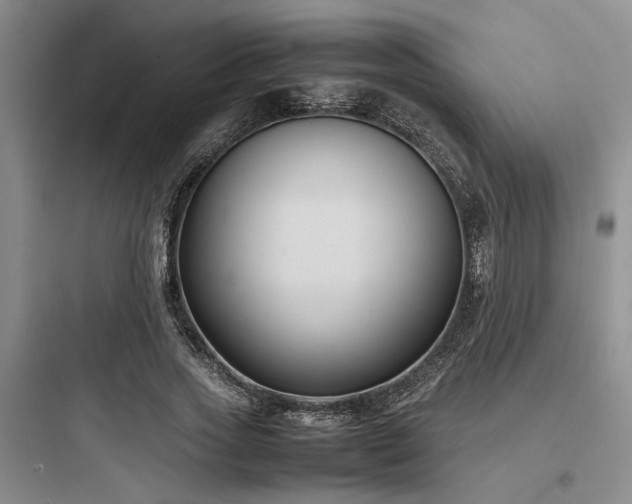 X0000097980733200803241258