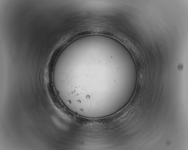 X0000097980734200803241258