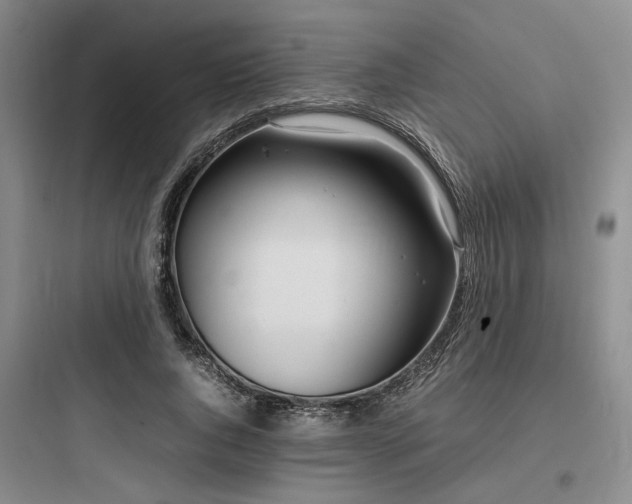 X0000097980736200803241258