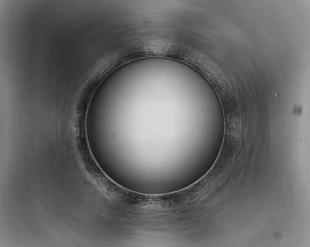 X0000097980738200803241259