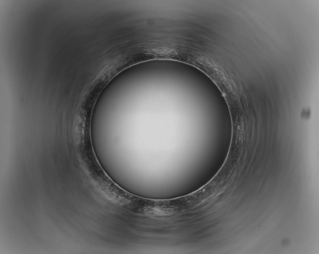 X0000097980739200803241259
