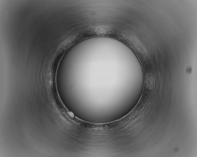 X0000097980740200803241259