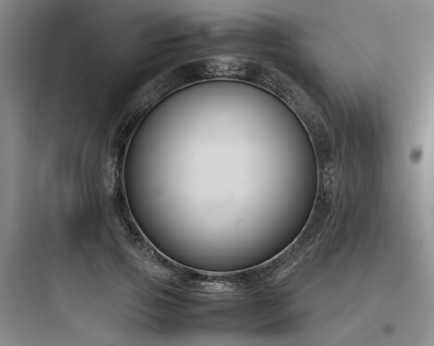 X0000097980741200803241259