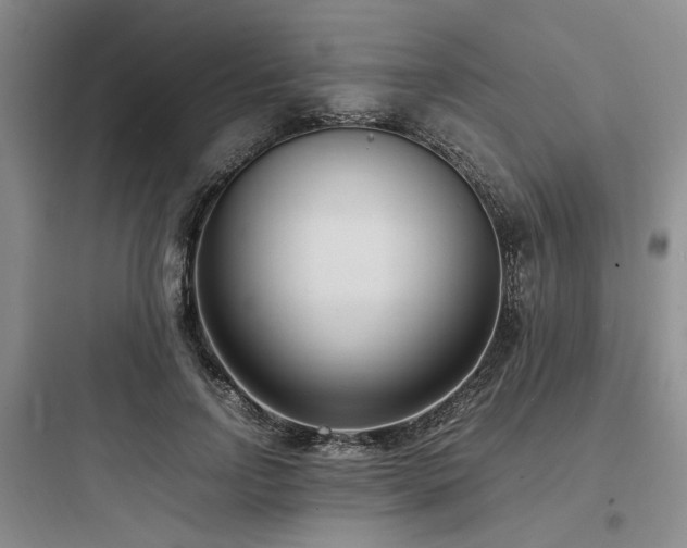 X0000097980742200803241259