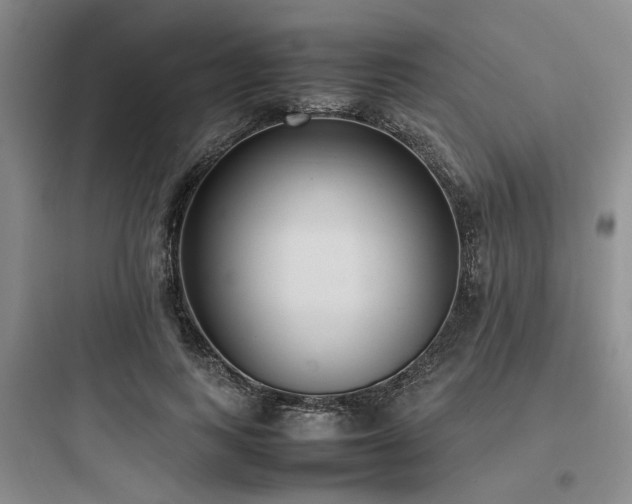 X0000097980743200803241259