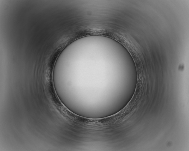 X0000097980744200803241259