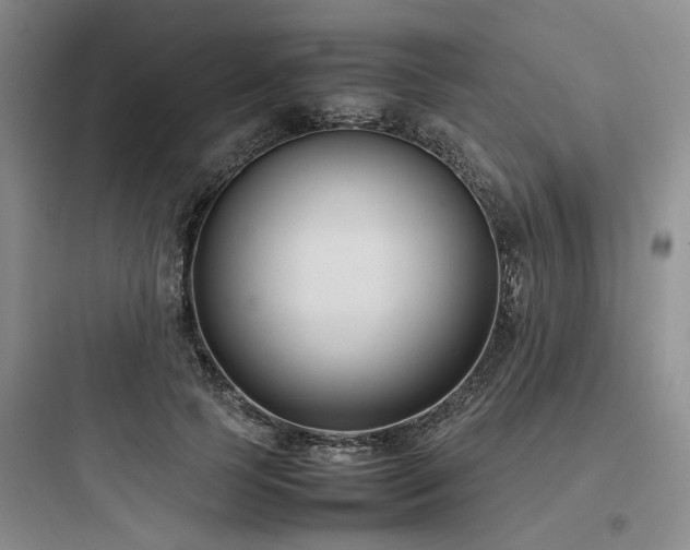 X0000097980745200803241259