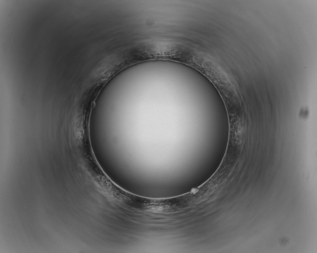 X0000097980746200803241259