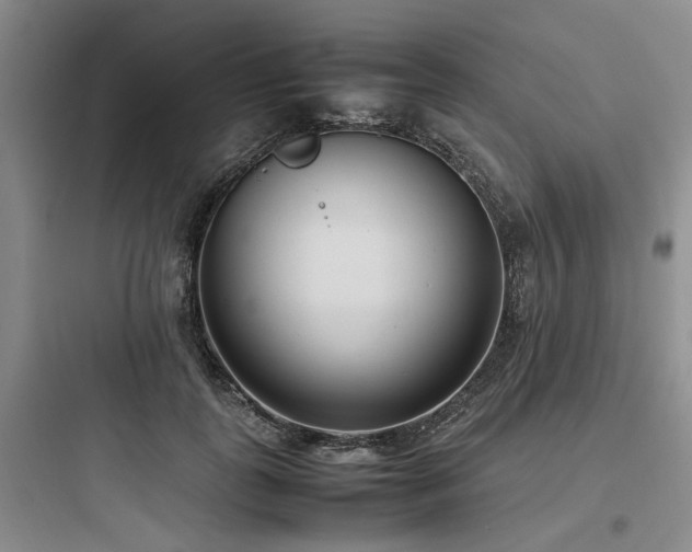 X0000097980747200803241259