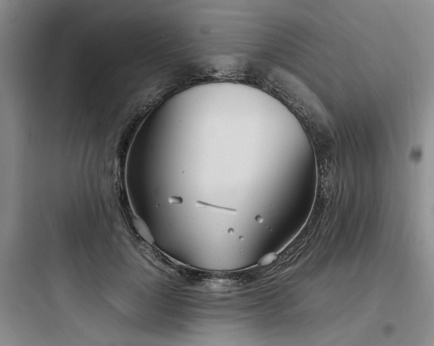 X0000097980748200803241259