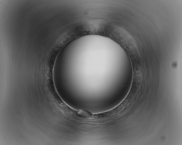 X0000097980750200803241259