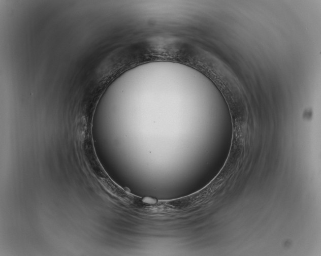 X0000097980752200803241259