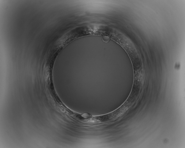 X0000097980754200803241259