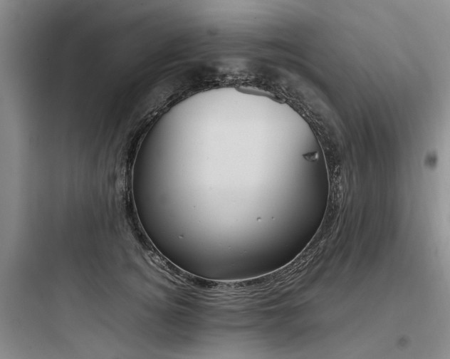 X0000097980756200803241259