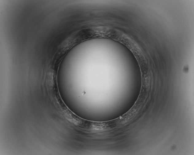 X0000097980757200803241259