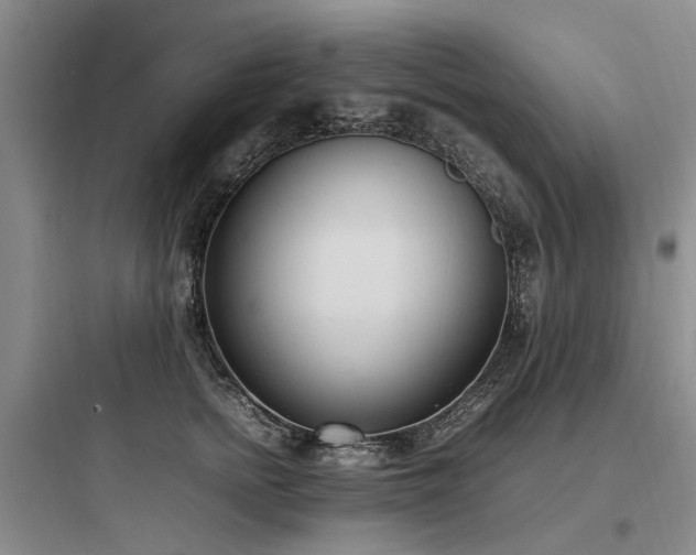 X0000097980758200803241259