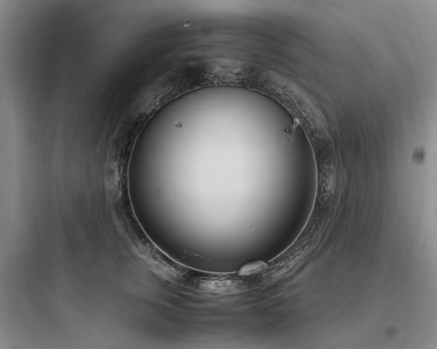X0000097980759200803241259