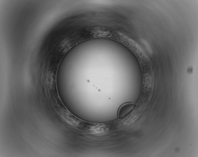 X0000097980761200803241259
