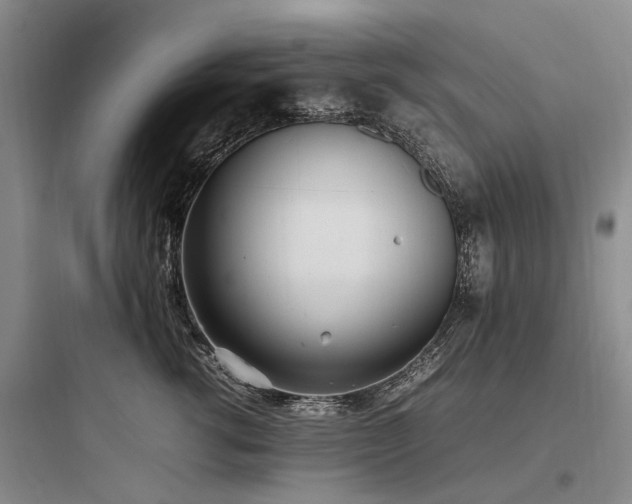 X0000097980762200803241259