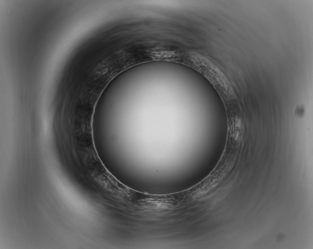 X0000097980763200803241259