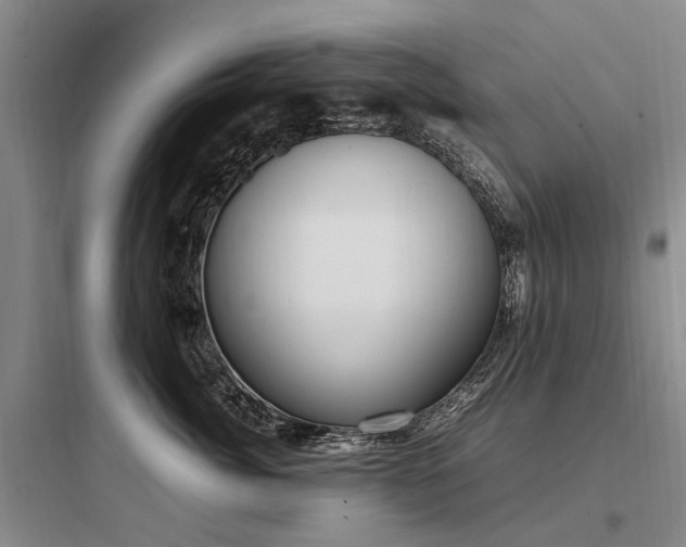 X0000097980764200803241259