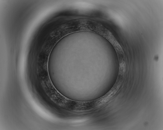 X0000097980765200803241259