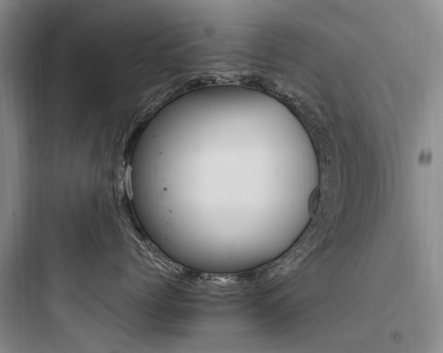 X0000097980768200803241259