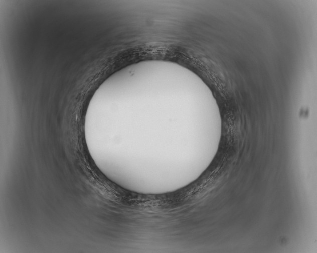 X0000097980769200803241258